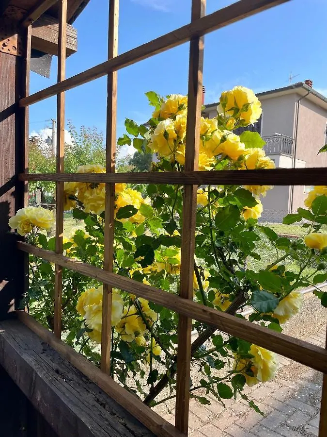 Casa Dani Villa Chianni